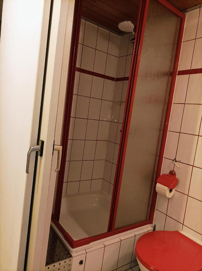 Kleine Ferienwohnung Mit Terrasse Am Waldrand Schonau  Exterior foto